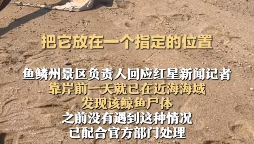 难哄现偶细糠,管家婆正版新奥门原料免费资料,创造力策略实施推广_标清版V9.31