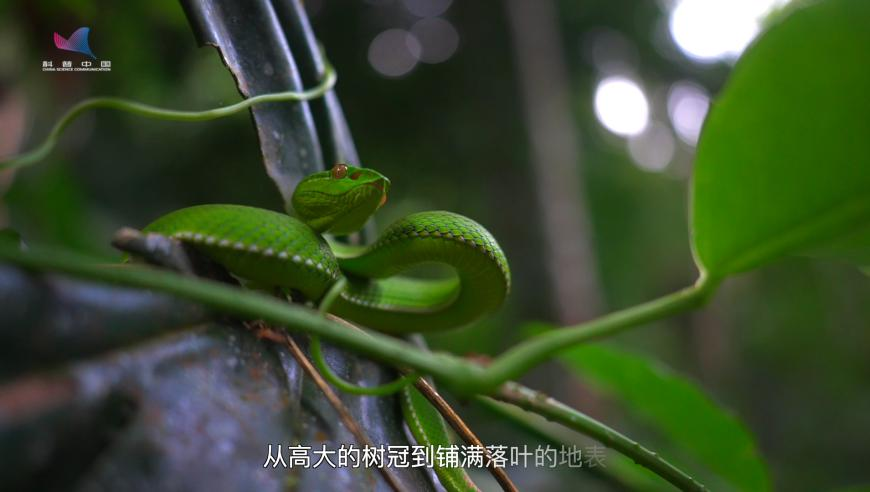 印度指控起亚涉嫌逃税1.55亿美元,5555525王中王凤凰游戏1112468,精准解释落实的人生哲理_投资版V12.48
