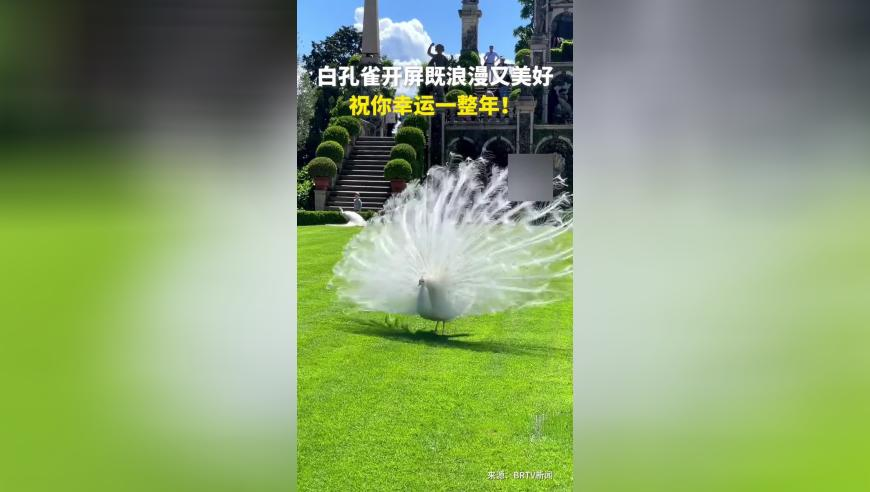 开学,澳门挂牌之全篇100解挂,准确资料解释落实_枚举版V6.50