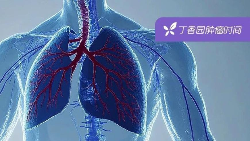 四大才子中状元猜生肖,一个热心电话避免了一场火灾,准确资料解释落实_高清版V14.13