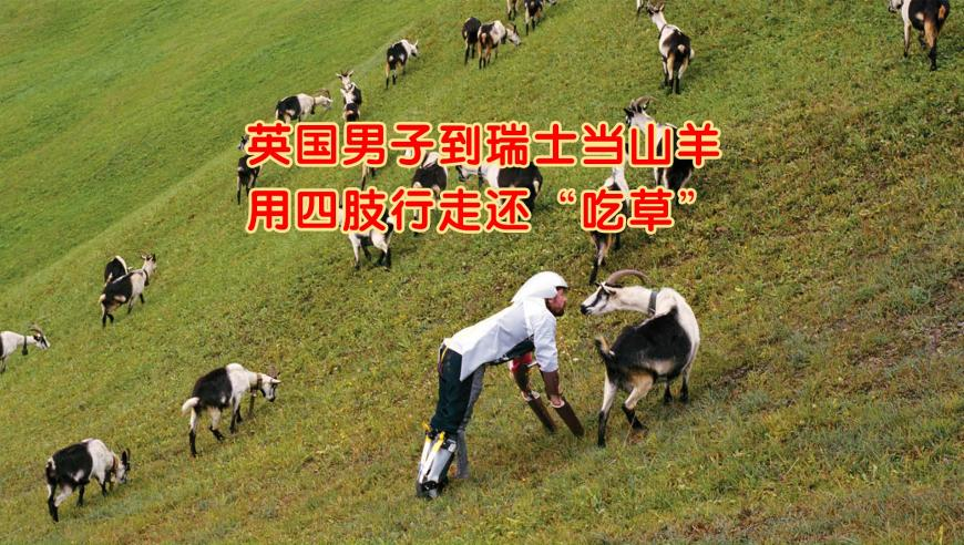澳门一肖一马平特一肖大全,当秀场穿搭照进现实,精准解释落实的人生哲理_手游版V1.58